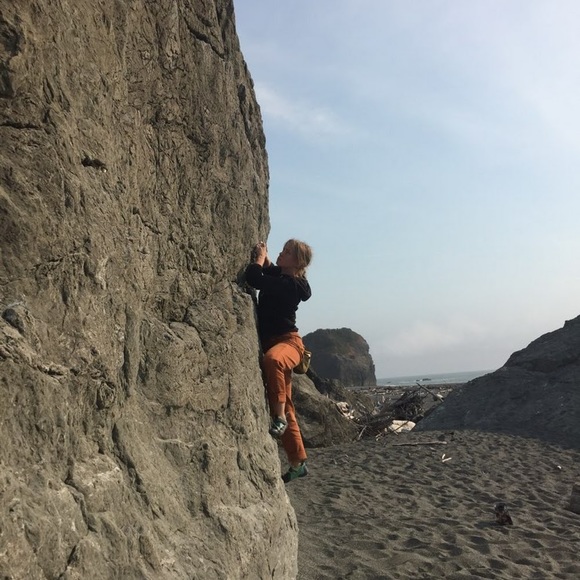 Meet your Posher, Riley - Picture 1 of 1